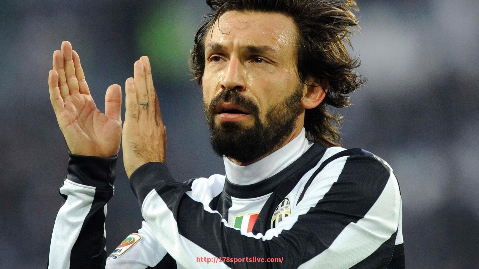 178体育直播-训练健身器材主要种类及使用效果解析